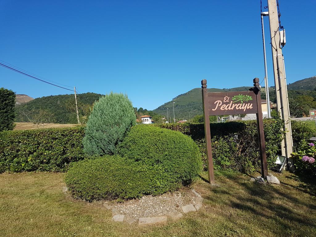 Apartamentos El Pedrayu Onís Zewnętrze zdjęcie